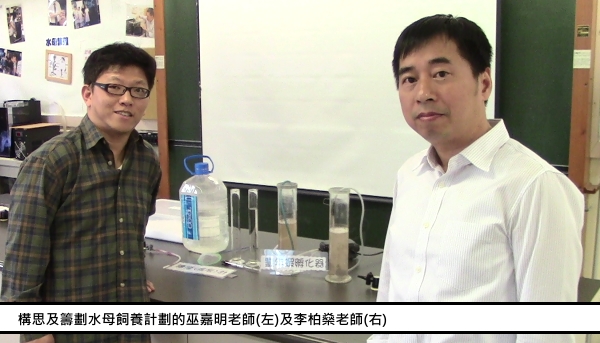 科學探究精神─水母飼養計劃｜讚好活動