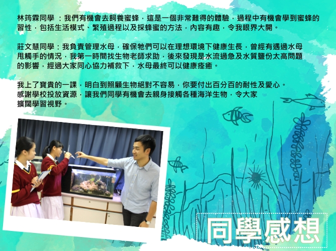 愛地球。環境教育在靈風｜讚好活動