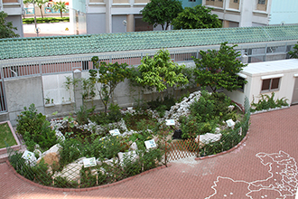 香港普通話研習社科技創意小學｜讚好活動