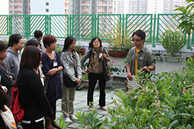 香港普通話研習社科技創意小學｜讚好活動