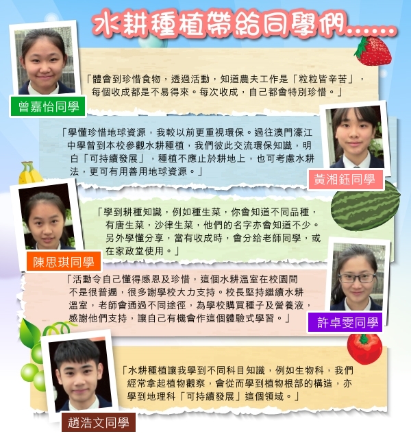 種出關愛。張沛松紀念中學水耕種植｜讚好活動
