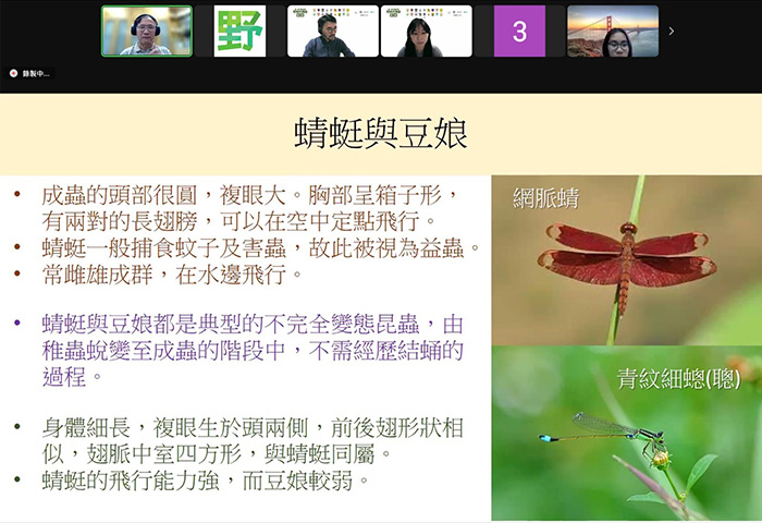 足不出戶的香港生態學習——第一屆全港小學野外大搜查｜讚好活動