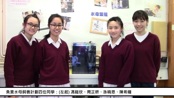 科學探究精神─水母飼養計劃｜讚好活動